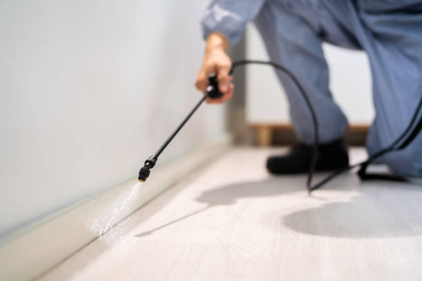 Licensed Rodent Control service in Webster, TX - Nex Pest Control