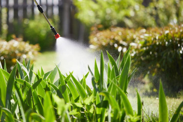 24/7 Emergency Rodent Control experts in Webster, TX