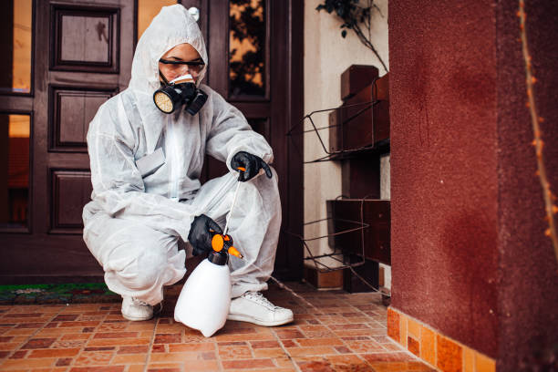 Reliable Rodent Control contractor in Webster, TX by Nex Pest Control